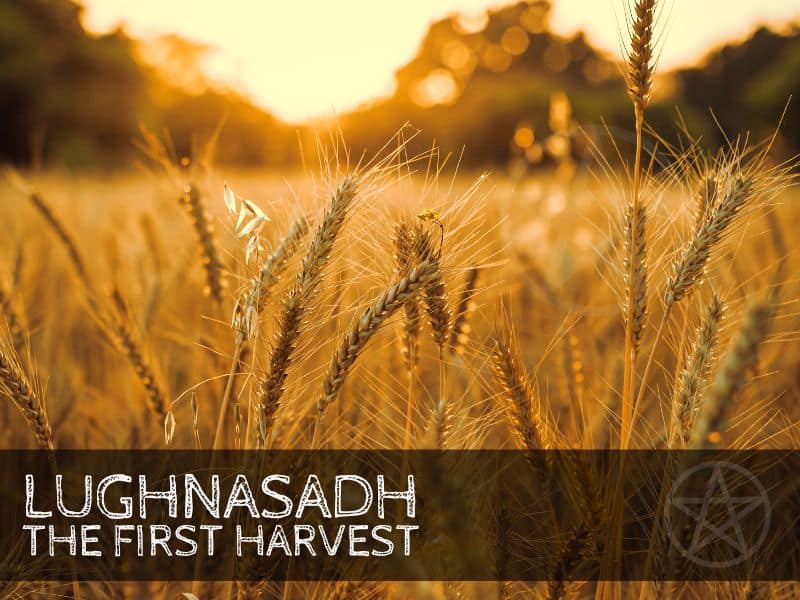 Lughnasadh (Lammas): The First Harvest